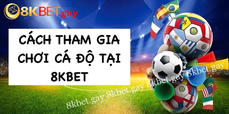 Cách tham gia chơi cá độ tại 8KBET dành cho tân thủ