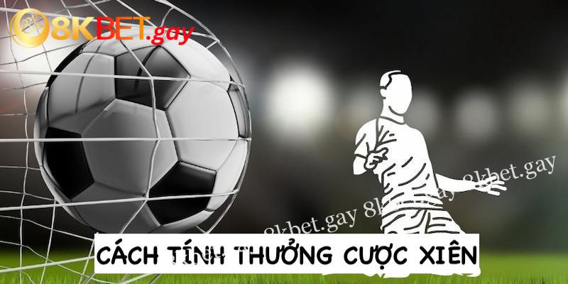 Hướng dẫn anh em tính thưởng cược xiên kèo châu Âu