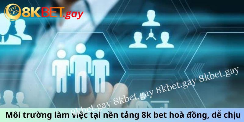 Môi trường làm việc tại nền tảng 8k bet hoà đồng, dễ chịu